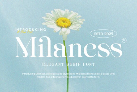 Choosing the Right Font: How Milaness Elevates Campaign Design